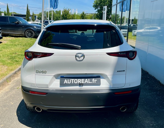 mazda - Visuel 4